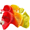 Fan Veil 1,8m